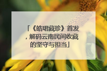 《皓珺藏珍》首发，解码云南民间收藏的坚守与担当
