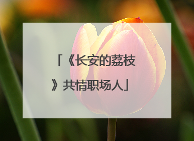 《长安的荔枝》共情职场人