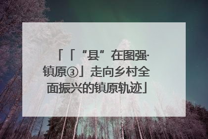 「“县”在图强·镇原③」走向乡村全面振兴的镇原轨迹