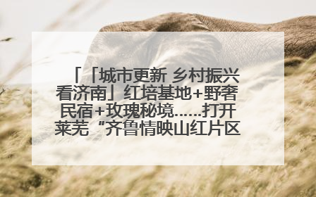 「城市更新 乡村振兴看济南」红培基地+野奢民宿+玫瑰秘境……打开莱芜“齐鲁情映山红片区”的破圈秘籍