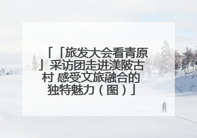 「旅发大会看青原」采访团走进渼陂古村 感受文旅融合的独特魅力（图）