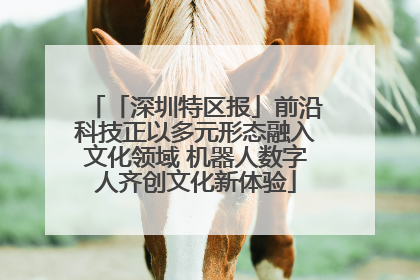 「深圳特区报」前沿科技正以多元形态融入文化领域 机器人数字人齐创文化新体验