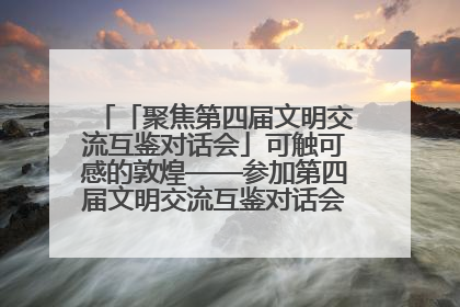 「聚焦第四届文明交流互鉴对话会」可触可感的敦煌——参加第四届文明交流互鉴对话会的外宾参观上元市集