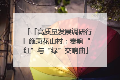 「高质量发展调研行」施秉花山村：奏响“红”与“绿”交响曲