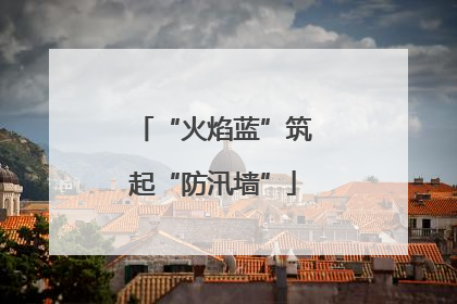 “火焰蓝”筑起“防汛墙”