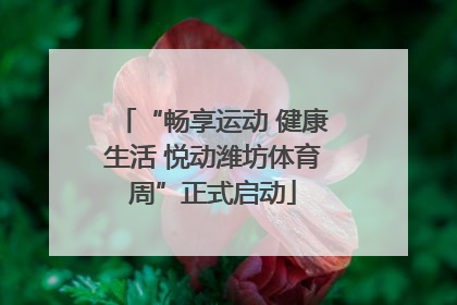 “畅享运动 健康生活 悦动潍坊体育周”正式启动