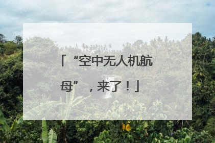 “空中无人机航母”，来了！