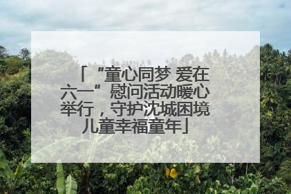 “童心同梦 爱在六一”慰问活动暖心举行，守护沈城困境儿童幸福童年