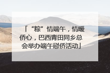 “粽”情端午，情暖侨心，巴西青田同乡总会举办端午慰侨活动