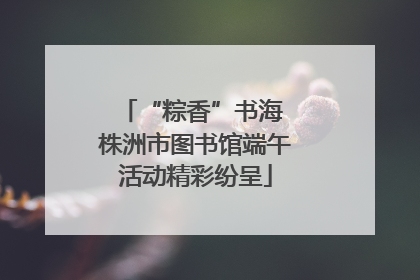 “粽香”书海 株洲市图书馆端午活动精彩纷呈