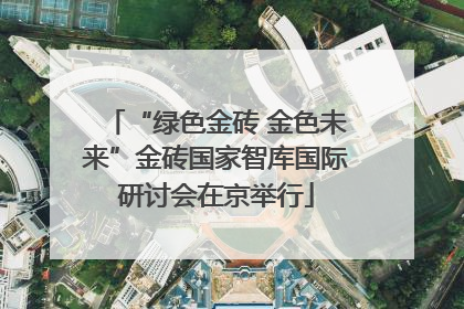 “绿色金砖 金色未来”金砖国家智库国际研讨会在京举行