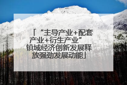 “主导产业+配套产业+衍生产业” 镇域经济创新发展释放强劲发展动能