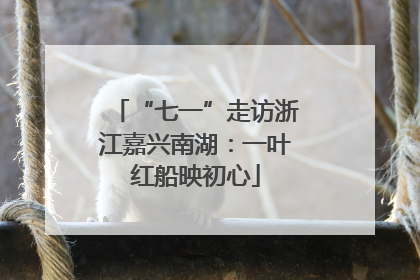 “七一”走访浙江嘉兴南湖：一叶红船映初心