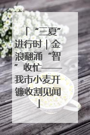 “三夏”进行时｜金浪翻涌“智”收忙——我市小麦开镰收割见闻