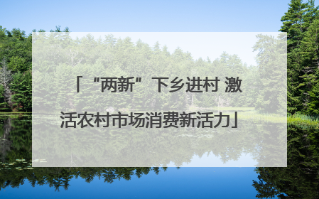 “两新”下乡进村 激活农村市场消费新活力