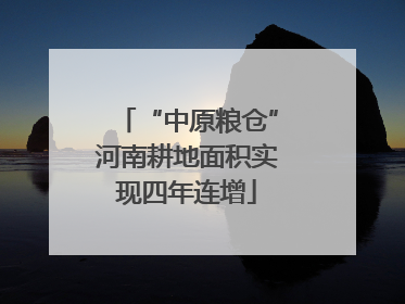 “中原粮仓”河南耕地面积实现四年连增