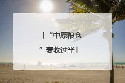 “中原粮仓”麦收过半