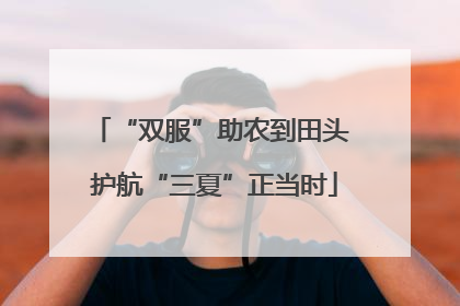 “双服”助农到田头 护航“三夏”正当时