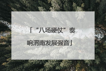 “八场硬仗”奏响渭南发展强音