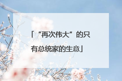“再次伟大”的只有总统家的生意
