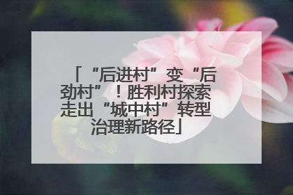 “后进村”变“后劲村”！胜利村探索走出“城中村”转型治理新路径