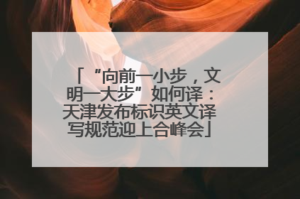 “向前一小步，文明一大步”如何译：天津发布标识英文译写规范迎上合峰会
