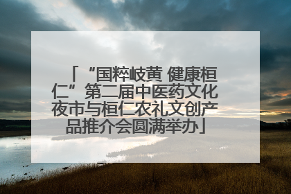 “国粹岐黄 健康桓仁”第二届中医药文化夜市与桓仁农礼文创产品推介会圆满举办