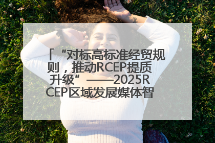 “对标高标准经贸规则，推动RCEP提质升级”——2025RCEP区域发展媒体智库论坛举行专题对话