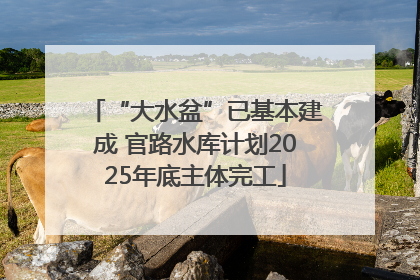“大水盆”已基本建成 官路水库计划2025年底主体完工