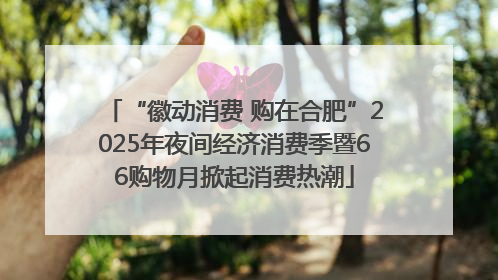 “徽动消费 购在合肥”2025年夜间经济消费季暨66购物月掀起消费热潮