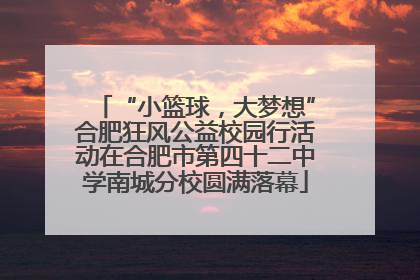 “小篮球，大梦想”合肥狂风公益校园行活动在合肥市第四十二中学南城分校圆满落幕