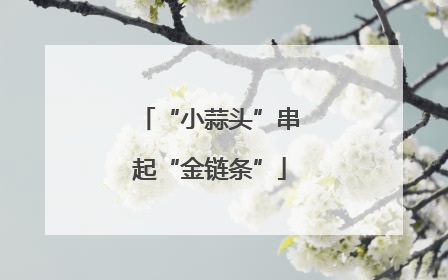 “小蒜头”串起“金链条”