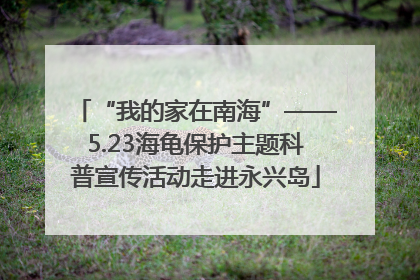 “我的家在南海”——5.23海龟保护主题科普宣传活动走进永兴岛