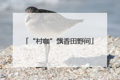“村咖”飘香田野间