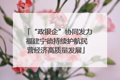 “政银企”协同发力 福建宁德持续护航民营经济高质量发展