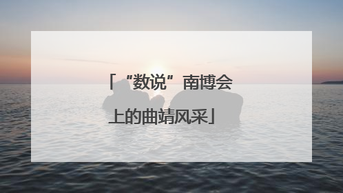 “数说”南博会上的曲靖风采