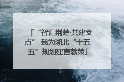 “智汇荆楚·共建支点” 我为湖北“十五五”规划建言献策