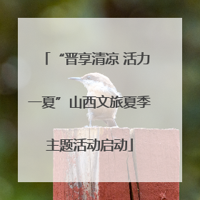“晋享清凉 活力一夏”山西文旅夏季主题活动启动