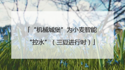 “机械城堡”为小麦智能“控水”（三夏进行时）