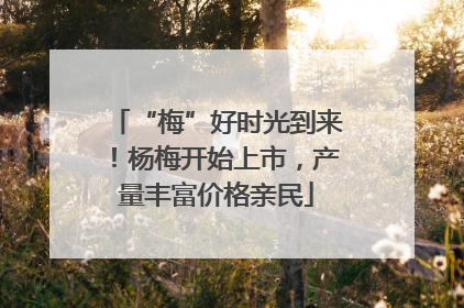 “梅”好时光到来！杨梅开始上市，产量丰富价格亲民