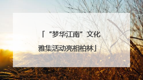 “梦华江南”文化雅集活动亮相柏林