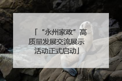 “永州家政”高质量发展交流展示活动正式启动