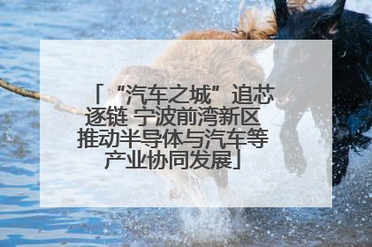 “汽车之城”追芯逐链 宁波前湾新区推动半导体与汽车等产业协同发展