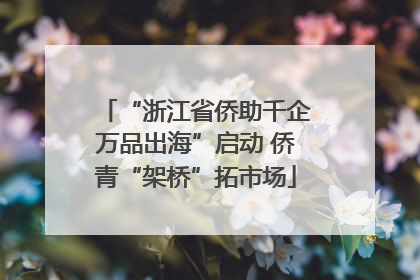 “浙江省侨助千企万品出海”启动 侨青“架桥”拓市场