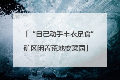 “自己动手丰衣足食”矿区闲置荒地变菜园