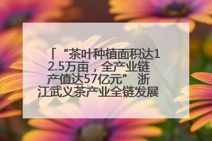 “茶叶种植面积达12.5万亩，全产业链产值达57亿元” 浙江武义茶产业全链发展“加速度”