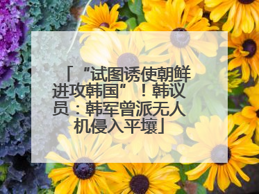 “试图诱使朝鲜进攻韩国”！韩议员：韩军曾派无人机侵入平壤
