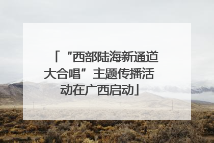 “西部陆海新通道大合唱”主题传播活动在广西启动