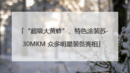 “超级大黄蜂”、特色涂装苏-30MKM 众多明星装备亮相
