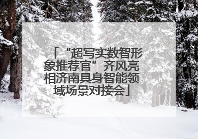 “超写实数智形象推荐官”齐风亮相济南具身智能领域场景对接会